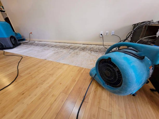 Professional Water Damage Repair technician working in Crosbyton, TX